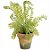 Vaso Decorativo Pequeno de Samambaia Artificial - 27 cm - Imagem 1