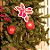 Meia Árvore de Natal Verde 210cm - Imagem 3