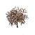 Pick com Folhagem Glitter Nude (Picks) - 1 Un - Imagem 1