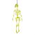 Enfeite Caveira Cores Diversas - Tam Aprox. 33 Cm - Imagem 2