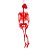 Enfeite Caveira Cores Diversas - Tam Aprox. 33 Cm - Imagem 3