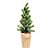 Mini Pinheiro Verde e Marrom 57cm - Imagem 1