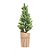Mini Pinheiro Verde e Marrom 67cm - Imagem 1
