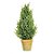 Mini Pinheiro Verde e Marrom G 50cm - Imagem 1