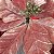 Poinsetia Cru e Branco (Flores Cabo Curto) - 1 Un - Imagem 4