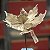 Poinsettia de Veludo Nude - 1 Un - Imagem 4