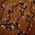 Pisca com 200 Leds Branco Quente 8 Funções Cordão Incolor 10m 220V Macho e Fêmea - Imagem 2