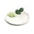 Prato Cacto Branco e Verde Claro P - 1 Un - Imagem 1