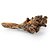 Galho Duas Pontas Madeira Nature 54,5x47x20 - Imagem 3