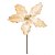 Poinsetia Ouro - Imagem 1