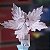 Poinsetia Pétalas Rosa - Imagem 3