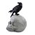 Crânio Decorativo Corvo Negro Com Luz - 1 Un - Imagem 3