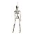 Caveira Amom 40cm para Decoração de Halloween - Cromus - 1 Un - Imagem 2