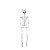 Esqueleto Articulado Charlie Halloween 70cm - 1 Un - Imagem 2