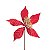 Poinsetia Vermelho Ouro - 1 Un - Imagem 1