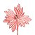 Poinsetia Rose - 1 Un - Imagem 1
