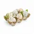 Cartela Mini Ovos Decorativos com Folhas 10x10x15cm - 1 Un - Imagem 3