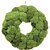 Guirlanda Decorativa Musgo Verde Rustic 40cm - 1 Un - Imagem 1