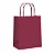 Kit Sacola de Papel Marsala G 26,5x13x32cm - 10 Un - Imagem 1