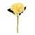 Flores Decorativas Permanentes - Hortênsia com Folhas 37cm Amarelo/Verde - 6 Hastes - Imagem 1