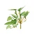 Folhas Decorativas Permanentes - Pick Folhagem 13cm Verde - 6 Buquês - Imagem 1