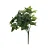 Galhos Decorativos Permanentes - Galho Curto com Folhas Verde 32,5cm - 6 Galhos - Imagem 1