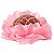 Forminhas Decorativas Floral Linha Seda Rosa Claro - 40 Un - Imagem 1