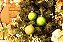Bola de Natal Sortidas Verde Claro 8cm - 6 Un - Imagem 3