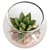 Mini Vasinho de Suculenta Artificial - Aloe - Imagem 3