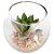 Mini Vasinho de Suculenta Artificial - Aloe - Imagem 2