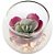Mini Vasinho de Suculenta Artificial - Echeveria - Imagem 3