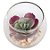 Mini Vasinho de Suculenta Artificial - Echeveria - Imagem 1