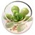 Mini Vasinho de Suculenta Artificial - Green Prince - Imagem 3