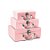 Conjunto de Maletinhas Rígida Rosa para Médio Grande - 3 Peças - Imagem 1