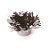 Forminhas para Doces Bala de Coco Preto e Branco - 40 Un - Imagem 1