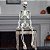 Esqueleto Articulado Kael Halloween 48cm - 1 Un - Imagem 2