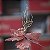 Poinsetia Rosa com estrelas Nude - Flores Cabo Curto - Imagem 3