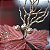 Poinsetia Rosa com estrelas Nude - Flores Cabo Curto - Imagem 4