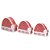 Caixas em Formato de Gorro Noel Ho Ho P M e G - 3 Un - Imagem 1