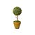 Topiaria Redonda Verde 15cm - Imagem 1