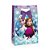Caixa Flex Frozen M 22X9X32 - Imagem 1
