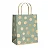 Kit Sacola de Papel Big Ball G 32x26,5x13cm Sálvia - 10 Un - Imagem 1