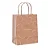 Kit Sacola de Papel Tonal Terracota Suave G 32x26,5x13cm - 10 Un - Imagem 1