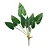 Folhas Decorativas Permanentes - Buquê Costela de Adão X7 76cm Verde - 1 Buquê - Imagem 1