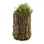 Tronco Decorativo Vertical Musgo/Madeira G 18x18x35cm Verde/Marrom - 1 Un - Imagem 1