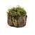 Tronco Decorativo Vertical Musgo/Madeira P 16x20x18cm Verde/Marrom - 1 Un - Imagem 1