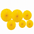 Kit Enfeite de Papel Composê Color Amarelo - 6 Peças - Imagem 1