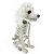 Esqueleto Cachorro Poodle Decoração Halloween 25cm - 1 Un - Imagem 1