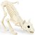 Esqueleto Gato Decoração Halloween 18cm - 1 Un - Imagem 1