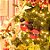Natal Disney - Bola Roupa Mickey Vermelho 10cm - 2 Un - Imagem 2